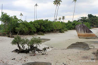 pantai tanjung tinggi