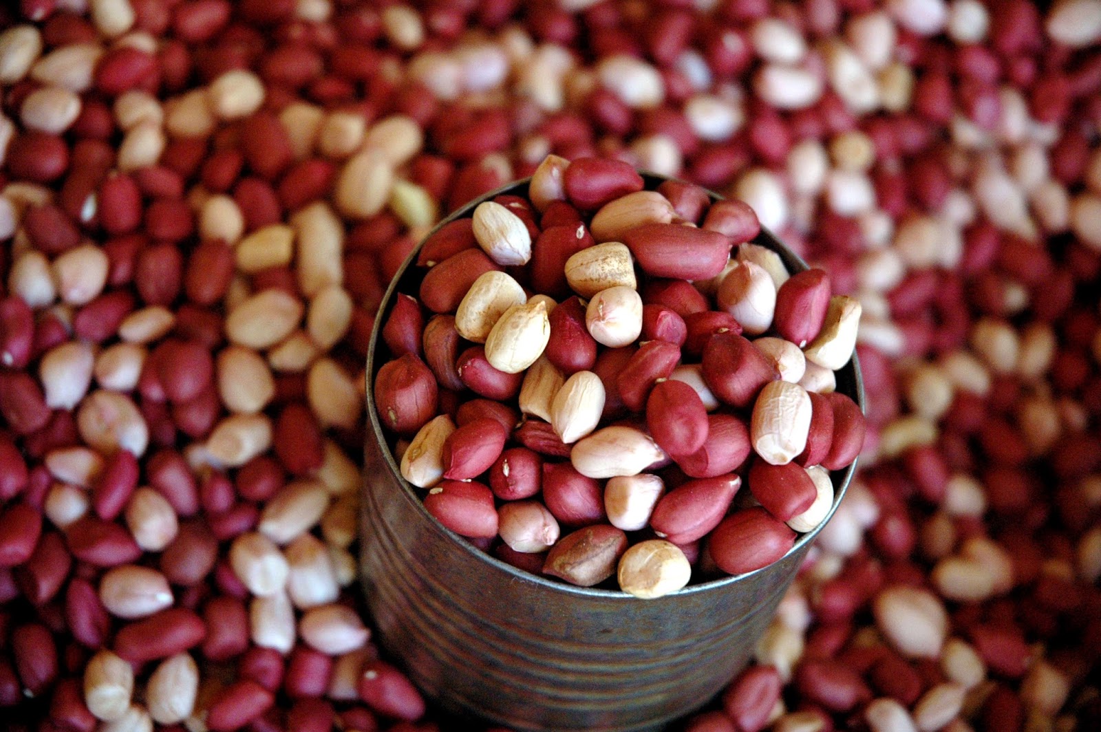 DUDE FOR FOOD Flavors of Catbalogan Going Native at Rutchel's Eatery