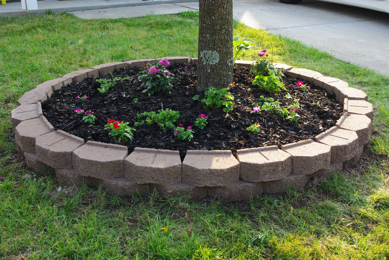landscaping-ideas-for-around-trees-image-to-u