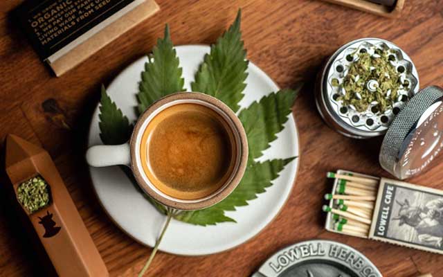This café will match the cannabis you like এই ক্যাফেতে আপনার পছন্দ মতো গাঁজা মিলবে