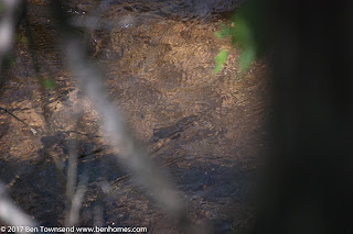 Greenwood Village Home Search | Lone Tree Houses for Sale | Highlands Ranch Realtor | Realtor Colorado Springs | Real Estate Colorado Springs | Homes for Sale Colorado Springs | Property Search | New Homes Colorado Springs | Home Buying | Home Selling | Realty | Real Estate Agent | www.benhomes.com | Broadmoor | Briargate | Flying Horse Homes for Sale | Black Forest Search | Homes for sale in Monument | New Custom Homes | Building a Home | www.benhomes.com Greenwood Village Home Search | Lone Tree Houses for Sale | Highlands Ranch Realtor | Realtor Colorado Springs | Real Estate Colorado Springs | Homes for Sale Colorado Springs | Property Search | New Homes Colorado Springs | Home Buying | Home Selling | Realty | Real Estate Agent | www.benhomes.com | Broadmoor | Briargate | Flying Horse Homes for Sale | Black Forest Search | Homes for sale in Monument | New Custom Homes | Building a Home | www.benhomes.com