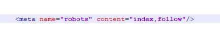 an example of robot meta tag robot meta tag
