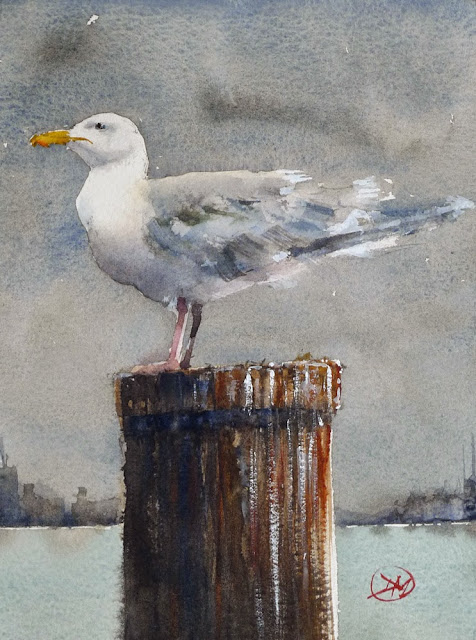 Seagull watercolour by David Meldrum