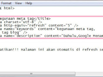 Penggunaan Meta Tag dalam Blog dan Website