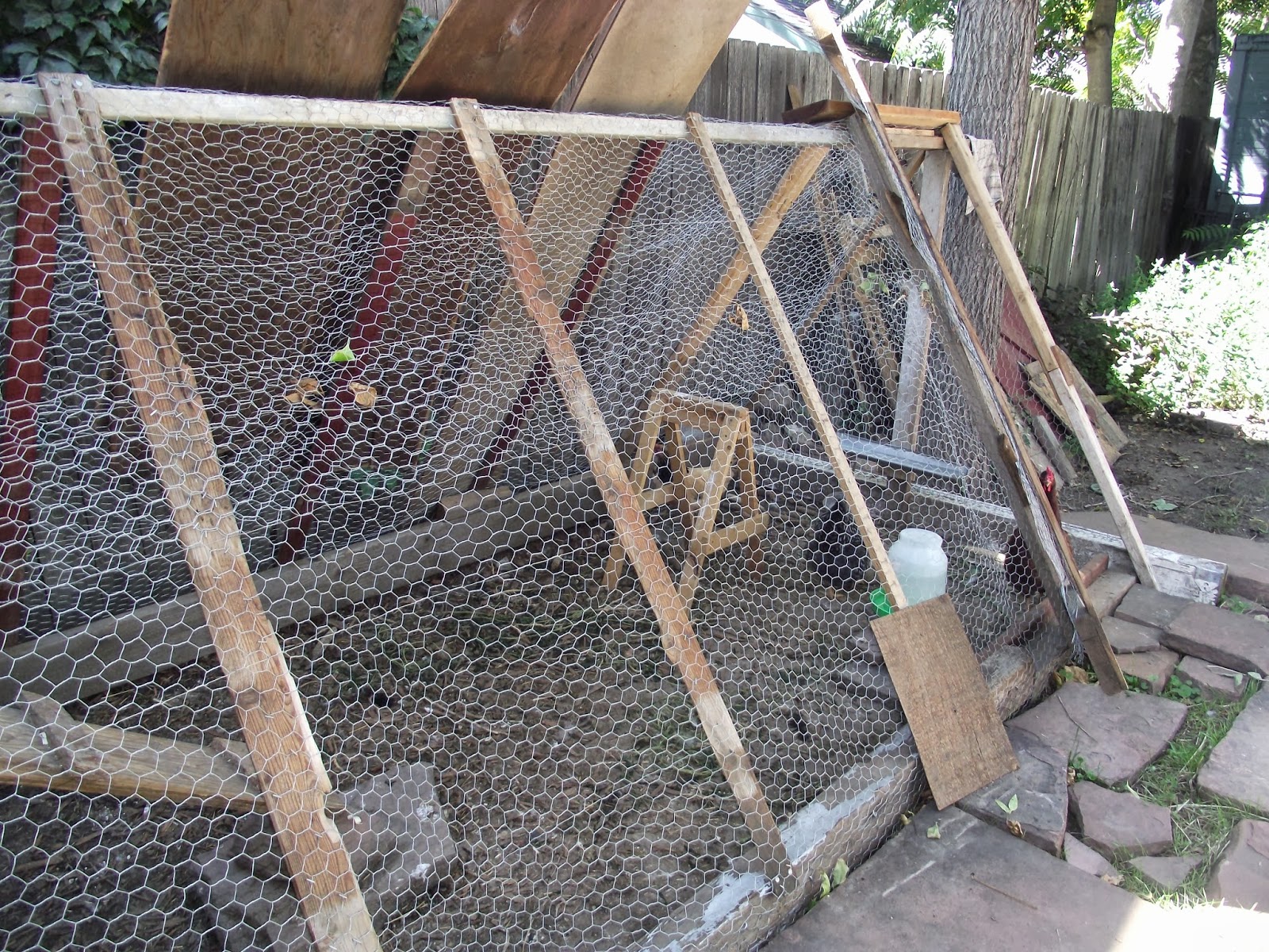 Denver Chicken Coop Tour