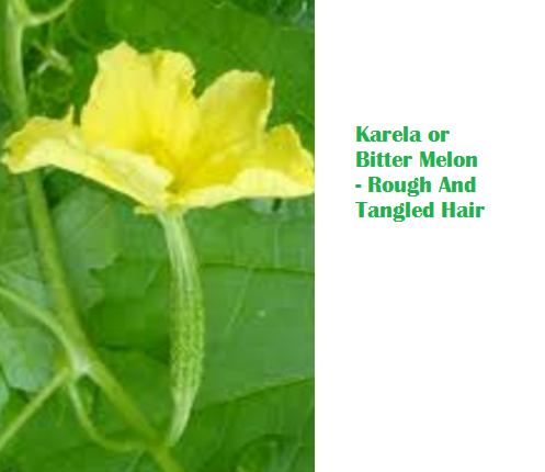 Health Benefits Of Karela or Bitter Melon - Rough And Tangled Hair