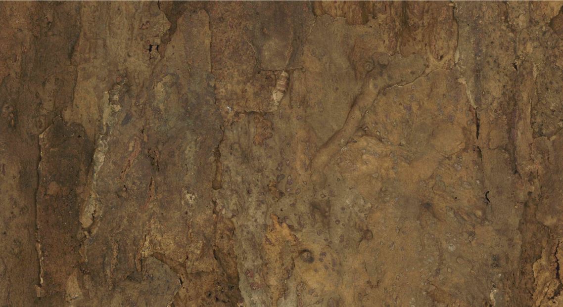 Jelinek Cork Group Get Corking Taking a closer look Natural Cork