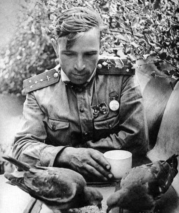 Russian Soldier  in World  War  II  vintage everyday