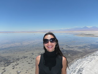 Laguna Chaxa Salar do Atacama