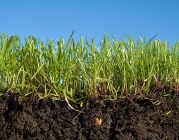 Ekologi FaktorFaktor Yang Mempengaruhi Pengukuran pH tanah  Wahid