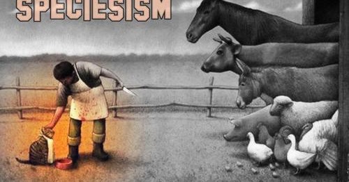 veganetti - with heart and soul: Speziesismus: