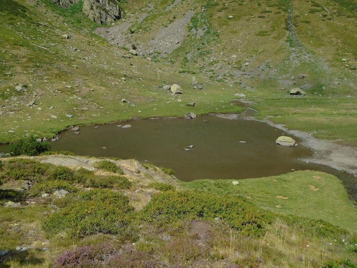 Pla de l'Estany Pla de l'Estany