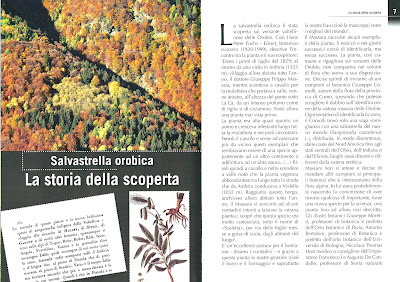 Sample page from a pamphlet called Sanguisorba dodecandra - Fiore esclusivo delle Orobie. S. dodecandra is commonly called Salvastrella orobica.