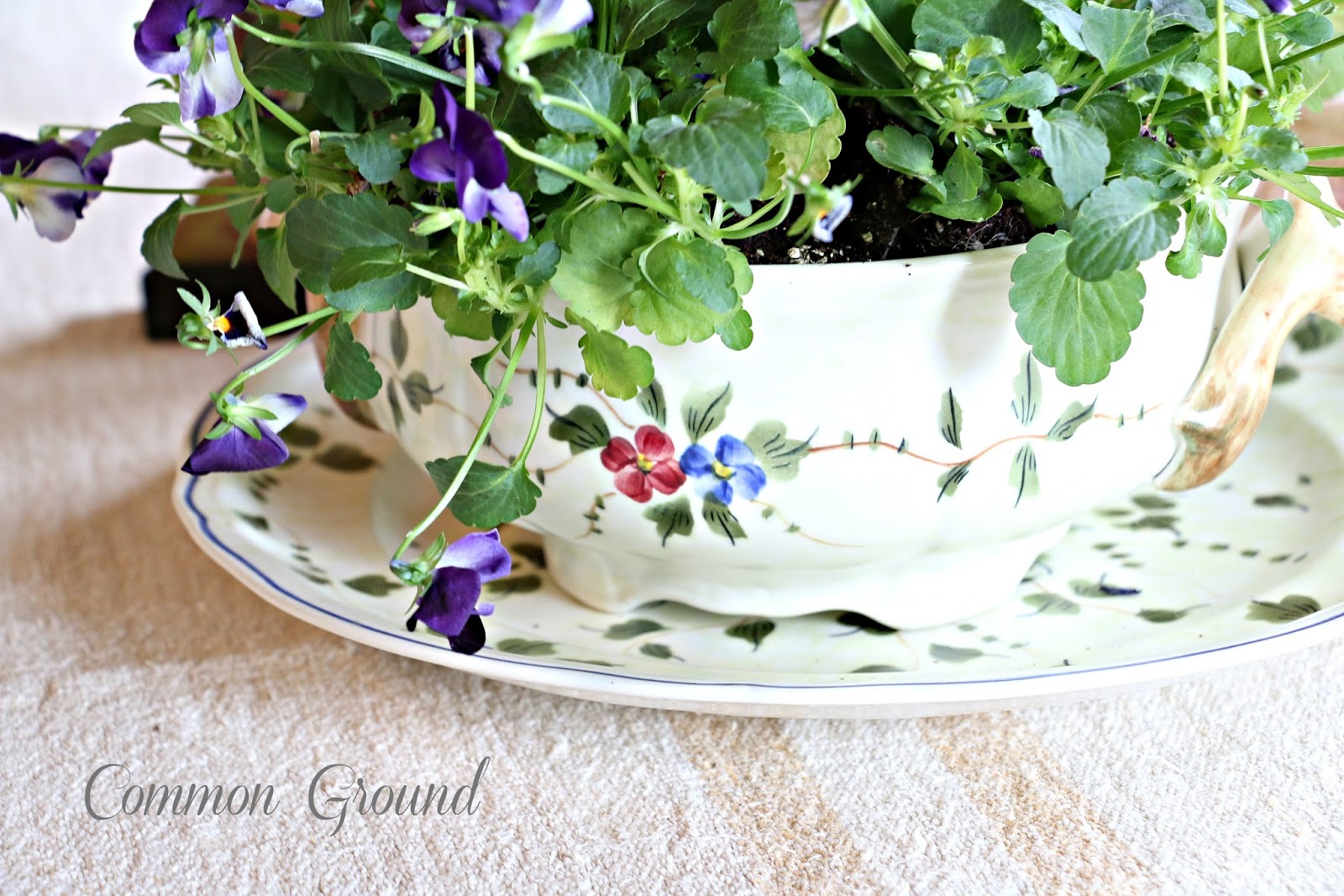 common ground Pansies, a French Tureen, and a Conversation...