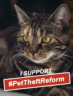 Cats are part of the #PetTheftReform campaign.