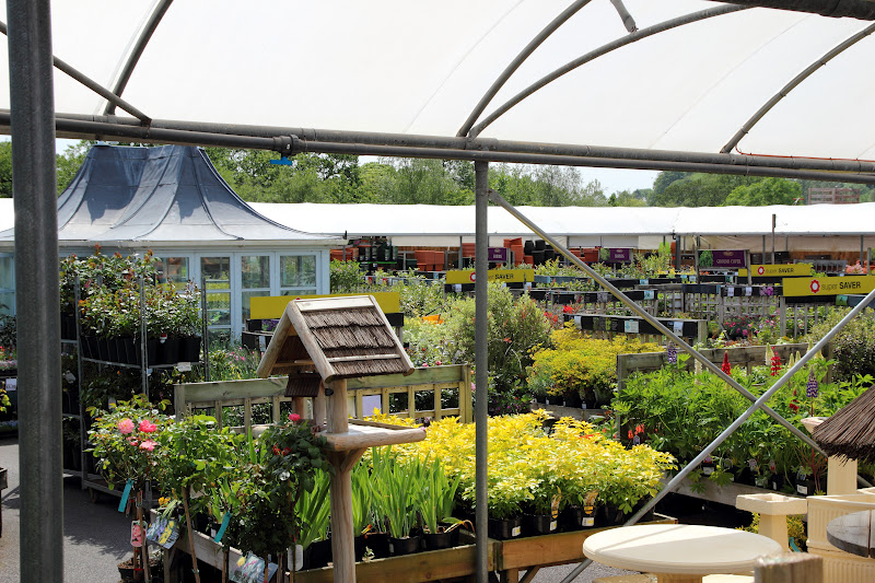 Fermoy's for Food and Flowdies