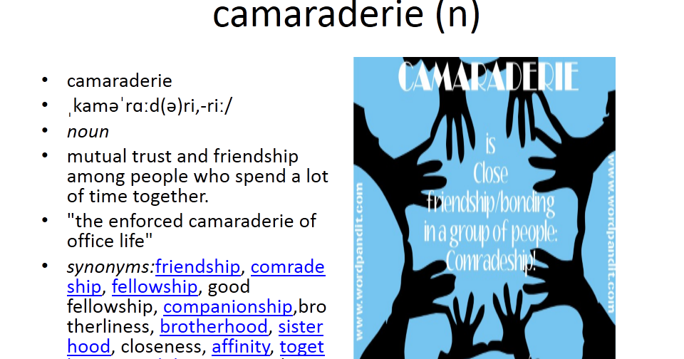 picture vocabulary camaraderie