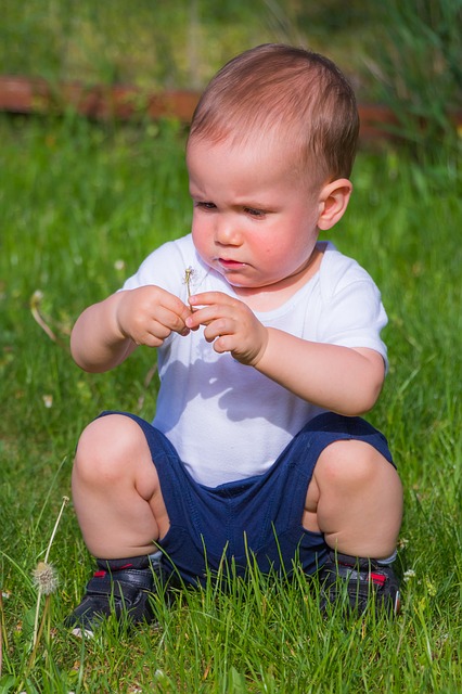 Junge spielt im Gras mit einer Pusteblume