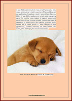 piccolo-principe-post-interessante darospoaprincipe