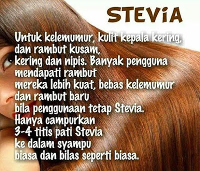 stevia rawat kelemumur