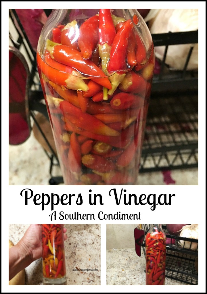 Peppers in Vinegar