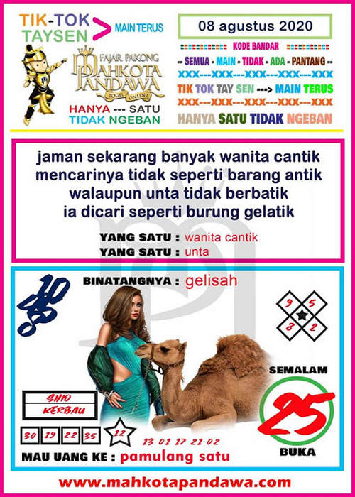 SYAIR HK ASIKTOTO