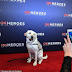 ΗΡΩΑΣ ΜΕ ΟΥΡΑ! Ο σκύλος του Τζορτζ Μπους σε βραβεία για ήρωες...