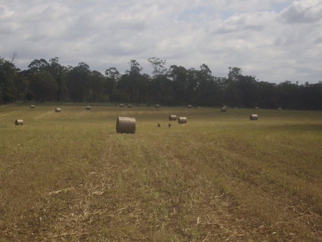 eight acres: making hay