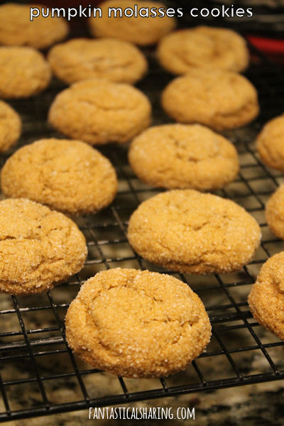 Pumpkin Molasses Cookies // These chewy cookies are everything spice and nice and you won't be able to stop at one! #recipe #pumpkin #molasses #cookies #dessert #SundaySupper