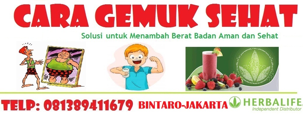 CARA MENJADI GEMUK, MENAMBAH BERAT BADAN, CARA MENAIKKAN BERAT BADAN, SUSU GEMUK