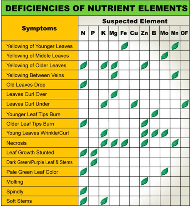 Nutrient Deficiency Chart Human