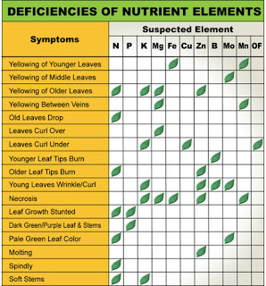 Leaf Illustrations and Charts to Help Diagnose Plant Nutrient Deficiencies