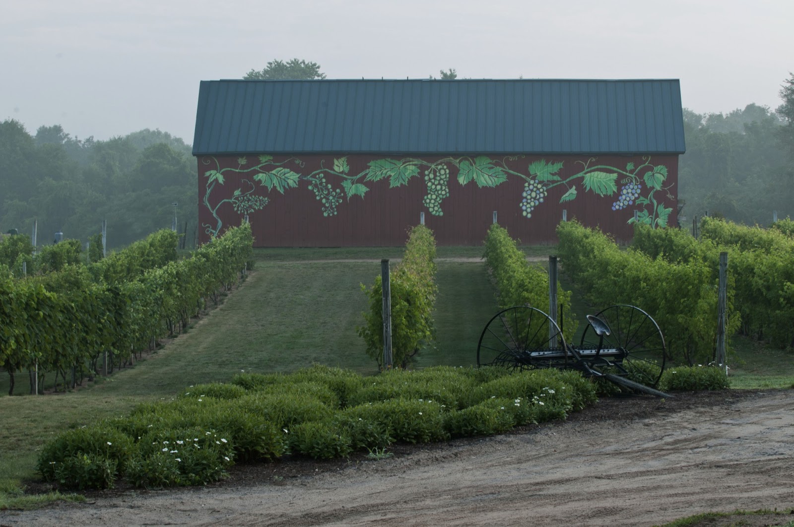 Photographers Guide to Connecticut Rosedale Farms and Vineyards, Simsbury