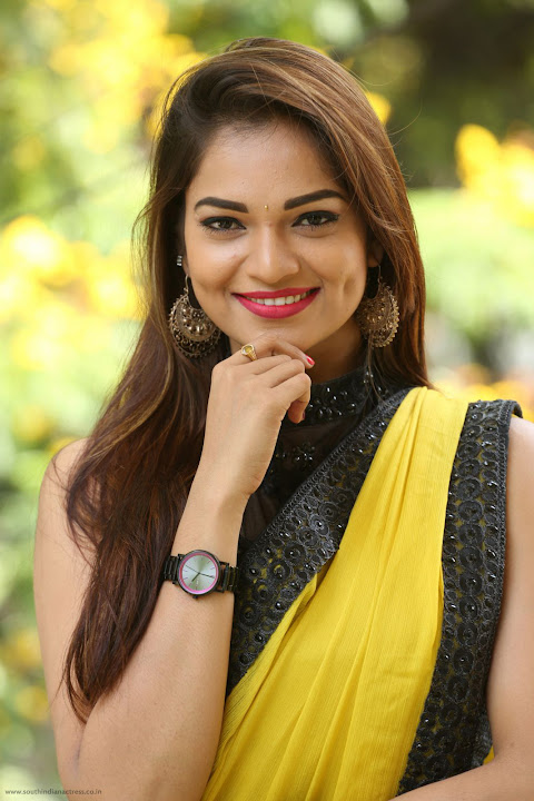 Ashwini at Nuvvu Nenu Osey Orey Release Press Meet