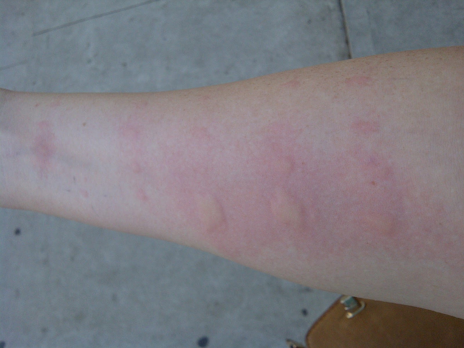 Waffling Testing, Testing, 123