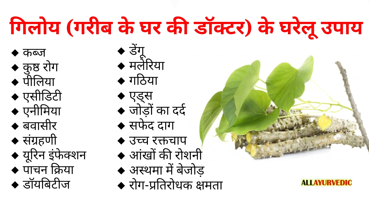 गिलोय के फायदे All Ayurvedic