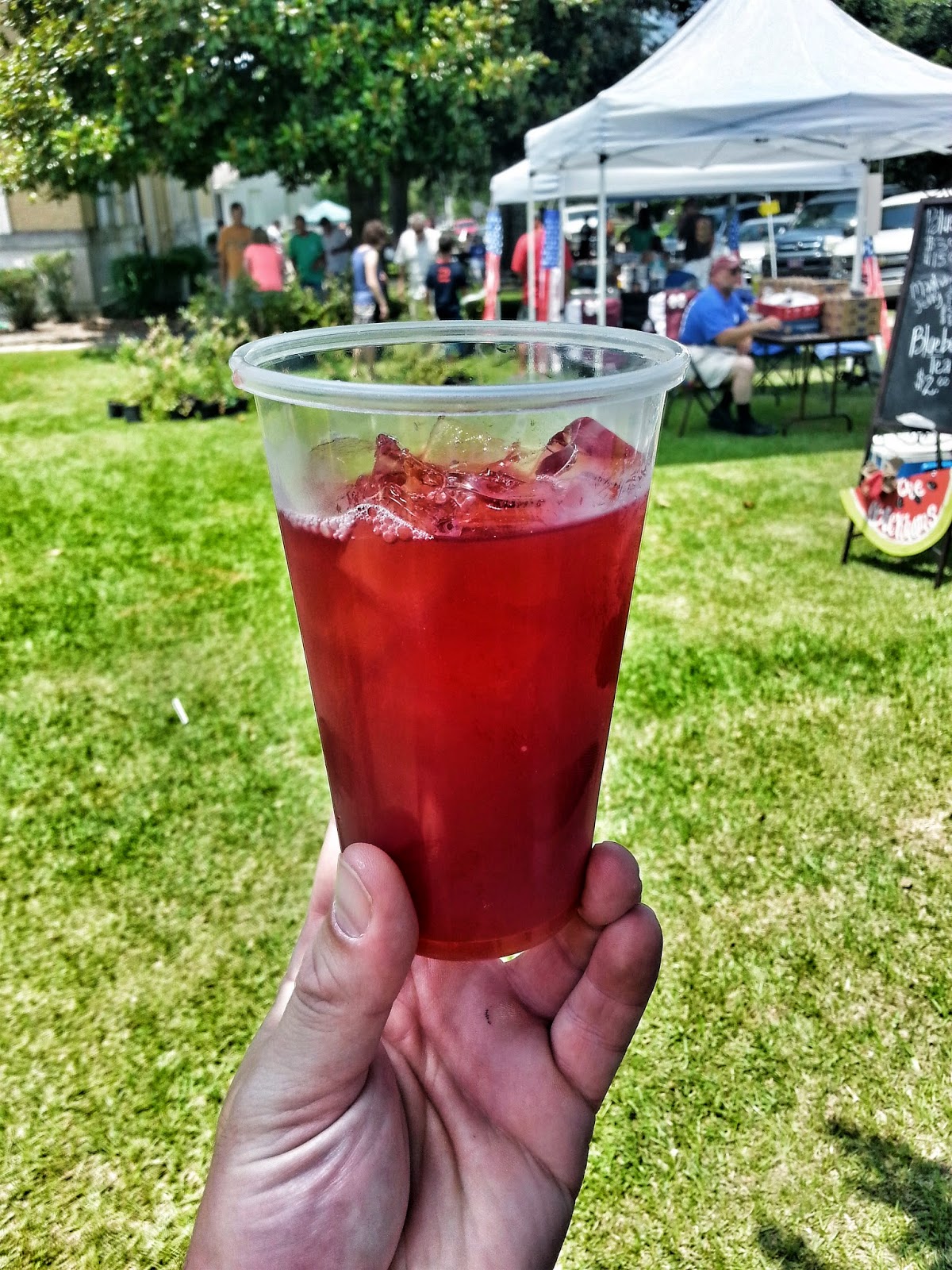 Mississippi Travels The Poplarville Blueberry Jubilee (4.5 stars)