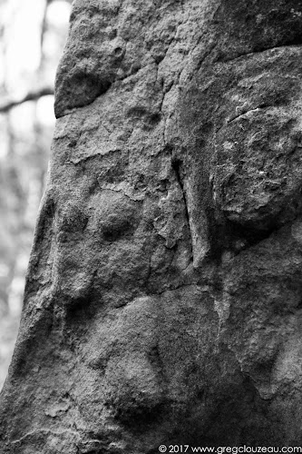 L'endormi, Fontainebleau L'endormi, Fontainebleau