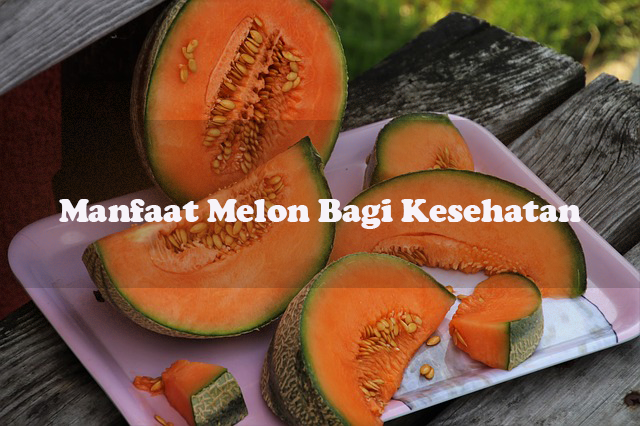 7 Manfaat Melon Bagi Kesehatan Tubuh Anda Mengkonsumsi buah memang baik dan sangat dianjurkan untuk kesehatan tubuh, berbagai macam buah yang ada di sekitar kita mengandung banyak manfaat. Salah satunya buah melon, buah yang satu ini kaya akan manfaat bagi tubuh kita. Berikut 7 Manfaat Melon Bagi Kesehatan Tubuh yang perlu anda ketahui.