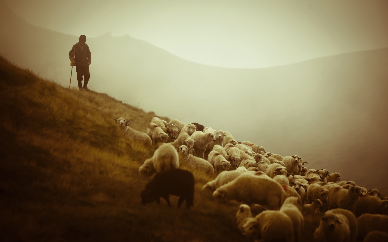 The Girded Mind: Softly Leading
