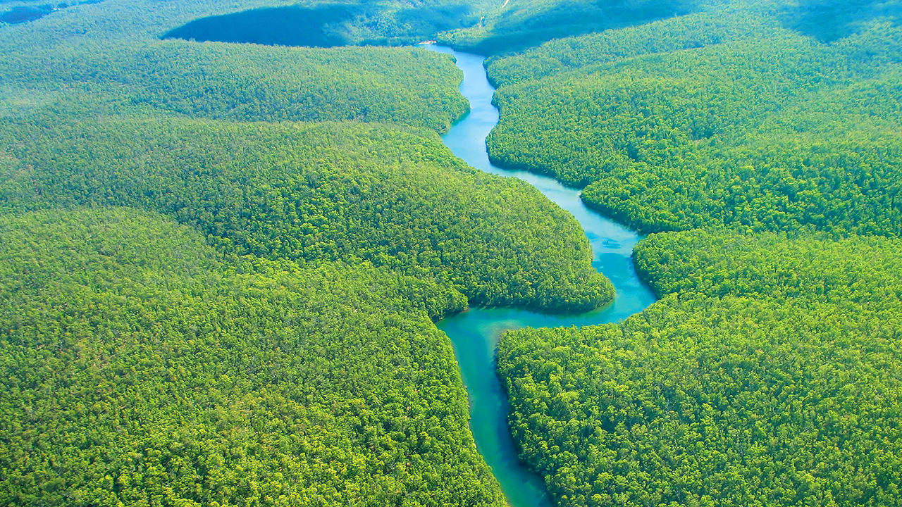 BIOMAS BRASILEIROS CF 2017 Conheça um pouco sobre o BIOMA AMAZÔNIA BIOMAS BRASILEIROS CF 2017 Conheça um pouco sobre o BIOMA AMAZÔNIA