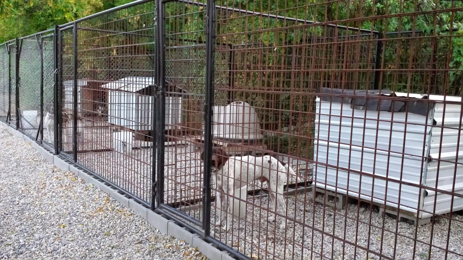 Gunsight Kennels Our Kennels