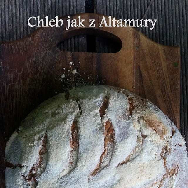 Chleb jak z Altamury - czerwcowa piekarnia