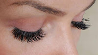 https://4.bp.blogspot.com/-kLHIPrl6UHs/W8MvFU7eeSI/AAAAAAAAGlM/oOCYZwL9DfMmoo4mK60FCjWiBPgHcN_LQCLcBGAs/s1600/EYE%2BLeaf.gif