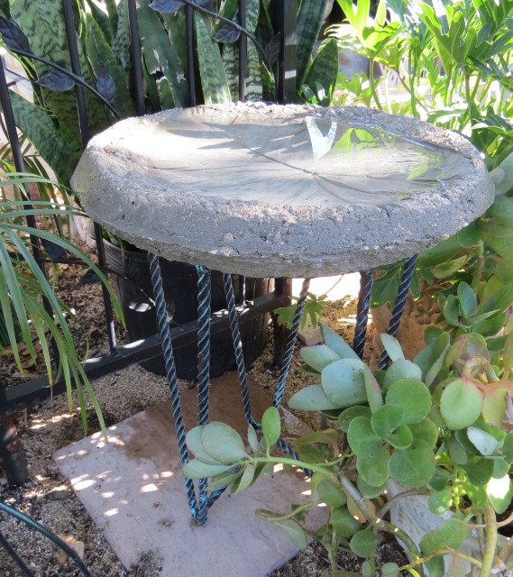 Timeless Treasures DIY Concrete Elephant Ear Bird Bath