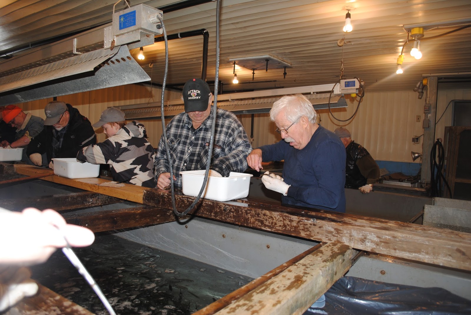 Lake Huron Fishing Club School Salmon Hatcheries and Events Lake Huron