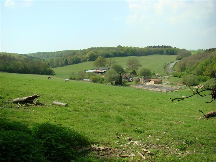CUTLER´S FARM FROM THE WOODS
