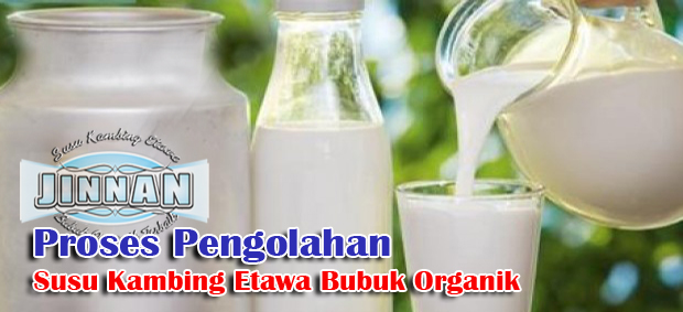 proses pengolahan susu kambing etawa pengolahan susu kambing
