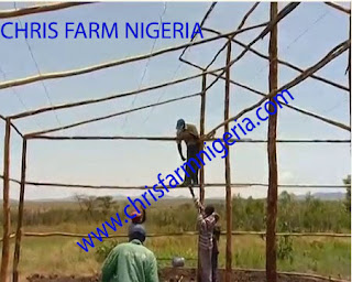 Greenhouse | Organic farm business| Business Plans |Profitable Agro Project Greenhouse | Organic farm business| Business Plans |Profitable Agro Project