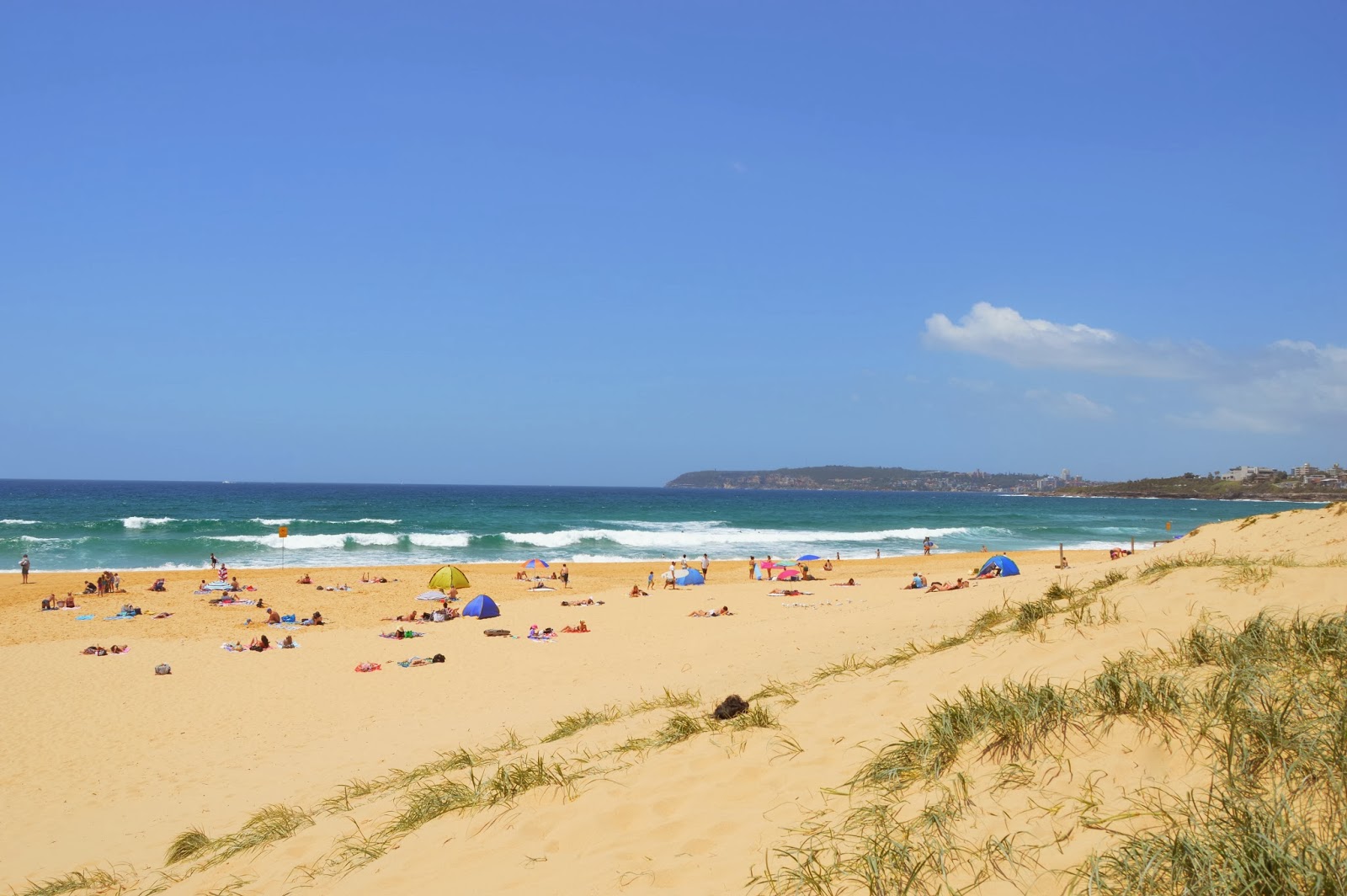 sydney-postcards-curl-curl-beach